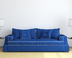 Couch Sofa and Upholstery Cleaning